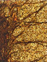 Notizbuch Touch of Science: Rückenmark