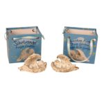 Schutzengel mit Flügel im Tütchen